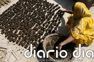 Los fertilizantes ayudan a la agricultura pero afectan al ambiente