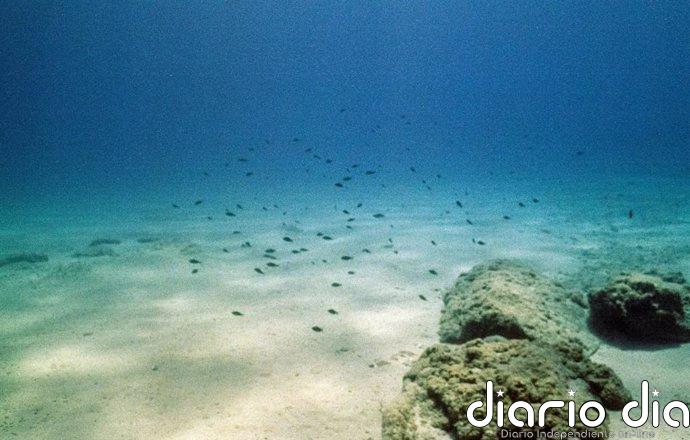 Se descubre el misterio de la conservación del carbono en los océanos