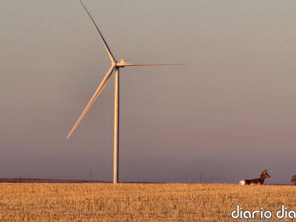 Acciona Energía completa la instalación de turbinas en el parque eólico de Forty Mile (Canadá)