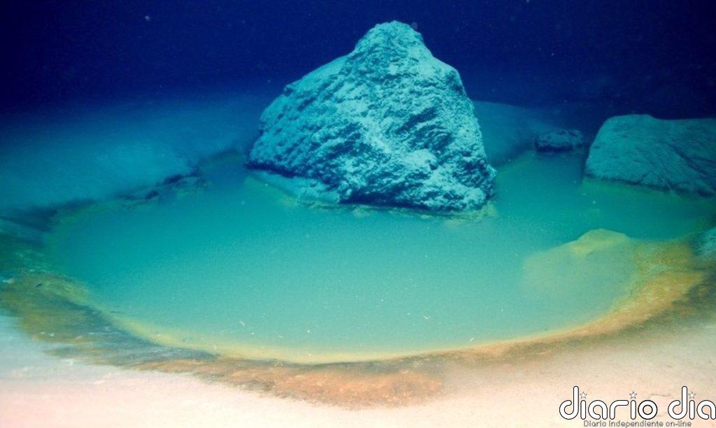 Arabia fue una sabana con vegetación en el pasado reciente