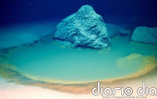 Arabia fue una sabana con vegetación en el pasado reciente