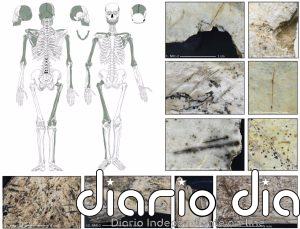 Canibalismo ritual en una cueva de Polonia hace 18.000 años