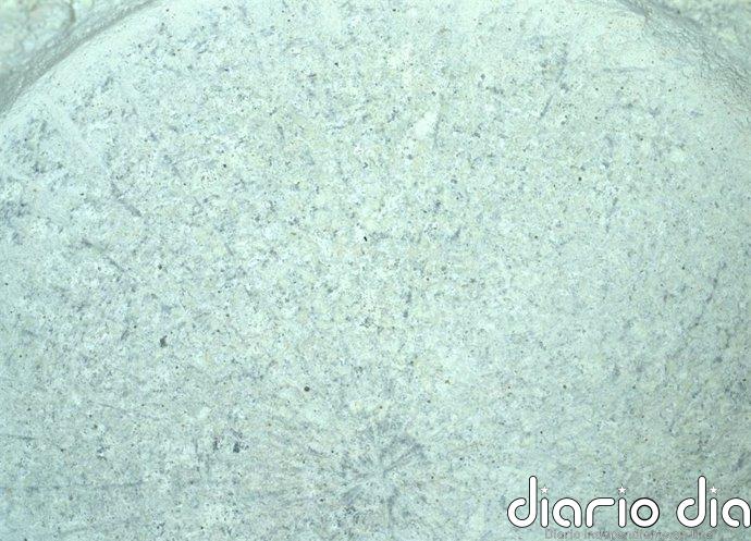 Intensa alteración por el agua en una roca muestreada en Marte