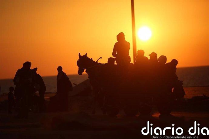 Vídeo de la noticia