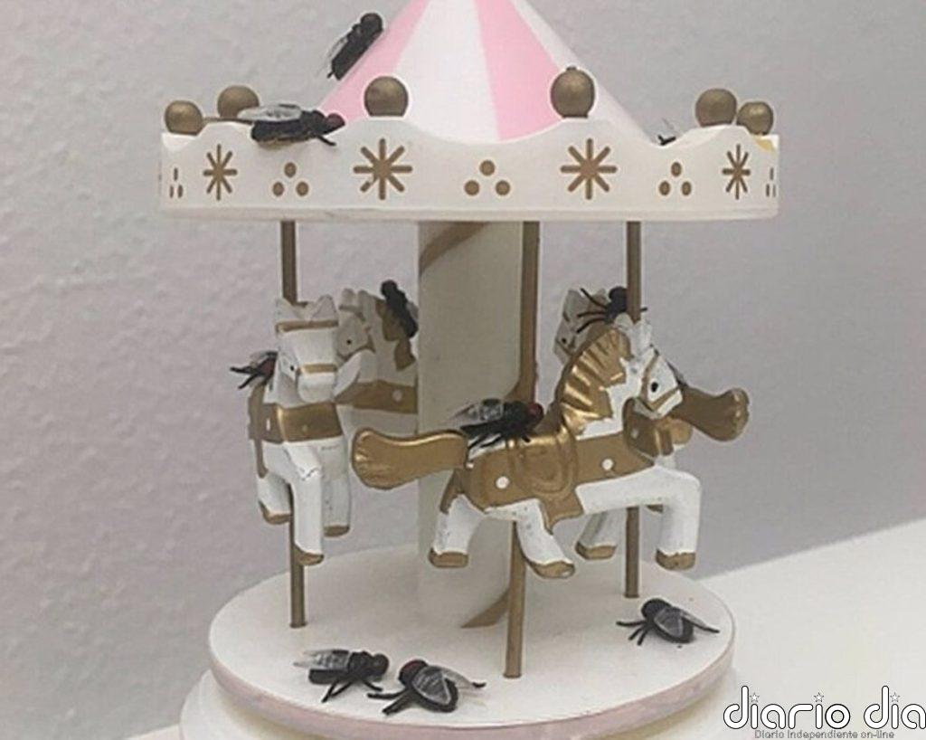 ¿Juegan las moscas? Nuevo estudio sugiere que sí