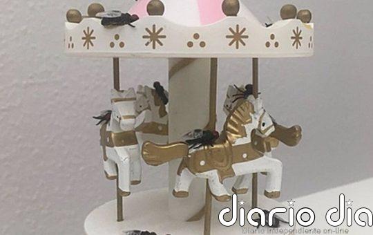 ¿Juegan las moscas? Nuevo estudio sugiere que sí