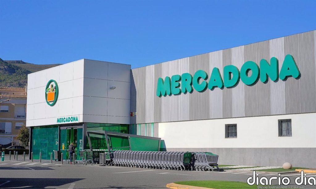 Mercadona lidera la distribución española en 2024 ante el empuje de Lidl y Aldi y de 'súpers' regionales
