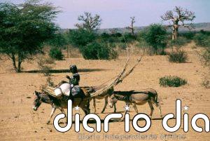 Un linaje de pastores africanos puede remontarse al Sáhara verde