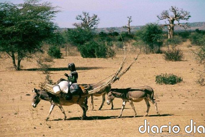 Un linaje de pastores africanos puede remontarse al Sáhara verde