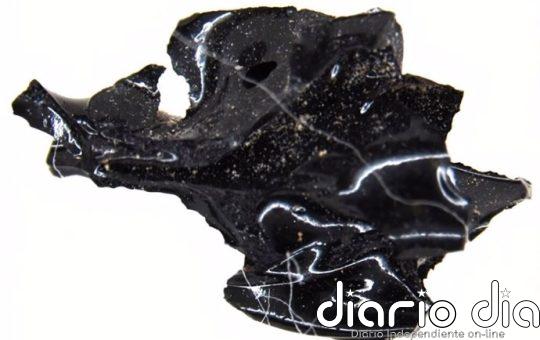 La nube de cenizas del Vesubio convirtió un cerebro en vidrio
