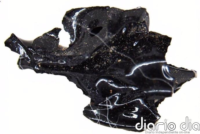 La nube de cenizas del Vesubio convirtió un cerebro en vidrio