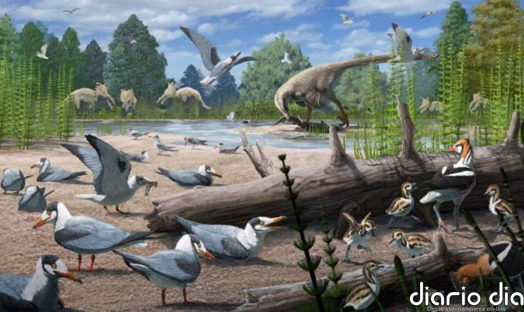 Evidencia de aves anidando en el Ártico cuando había dinosaurios