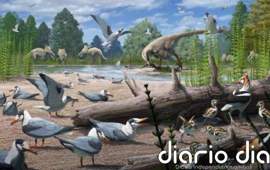Evidencia de aves anidando en el Ártico cuando había dinosaurios