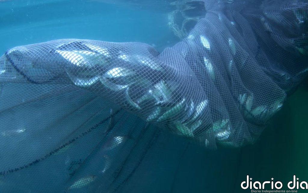 El impacto humano sobre los océanos se habrá duplicado para 2050