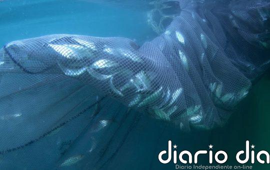 El impacto humano sobre los océanos se habrá duplicado para 2050