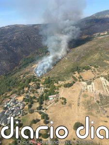 La Junta rebaja a gravedad 0 el nuevo incendio en Castromil (Zamora)