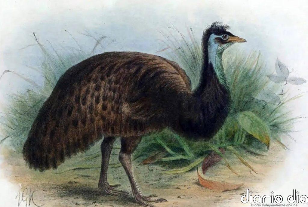 La pérdida de especies no ha alcanzado el nivel de "extinción masiva"