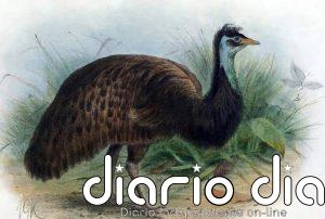 La pérdida de especies no ha alcanzado el nivel de "extinción masiva"