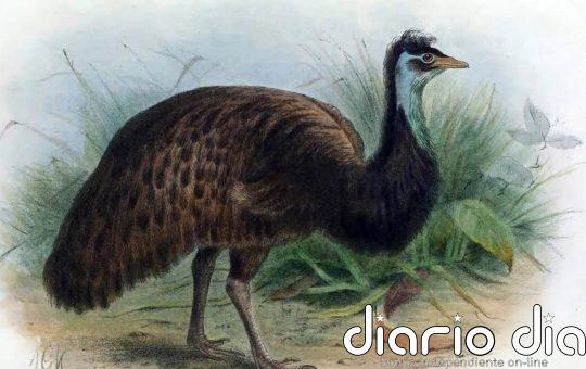 La pérdida de especies no ha alcanzado el nivel de "extinción masiva"