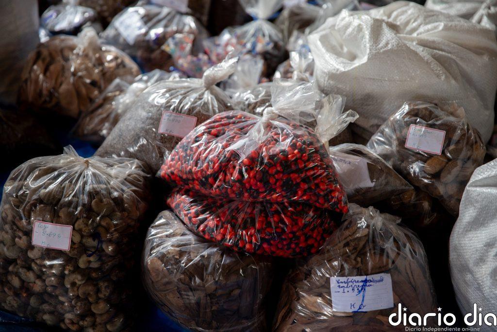 Redes de recolectores de semillas impulsan la restauración forestal en Brasil