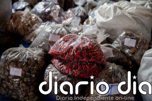 Redes de recolectores de semillas impulsan la restauración forestal en Brasil