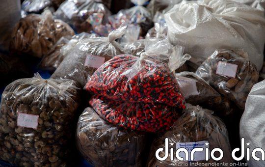 Redes de recolectores de semillas impulsan la restauración forestal en Brasil