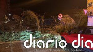 Una tromba de agua, viento y granizo arranca arbolado y anega locales en Binéfar (Huesca)