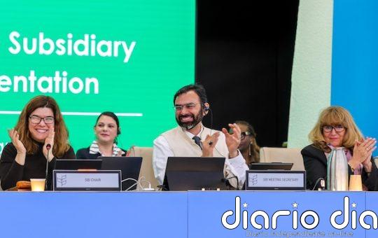 Aumenta la pérdida de biodiversidad y se requiere extremar medidas para frenarla