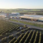 Deoleo ganó 20 millones en 2025, frente a las pérdidas de más de 54 millones del año anterior