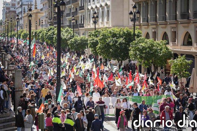 La cara B del 28F: Colectivos de izquierda se manifiestan en Sevilla para recordar "la nación subyugada y subalterna"