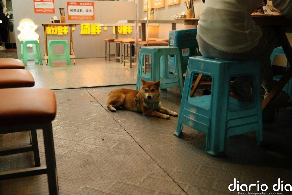 ¿Por qué tienen los banquitos de plástico un agujero en el medio?