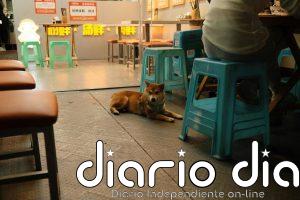 ¿Por qué tienen los banquitos de plástico un agujero en el medio?