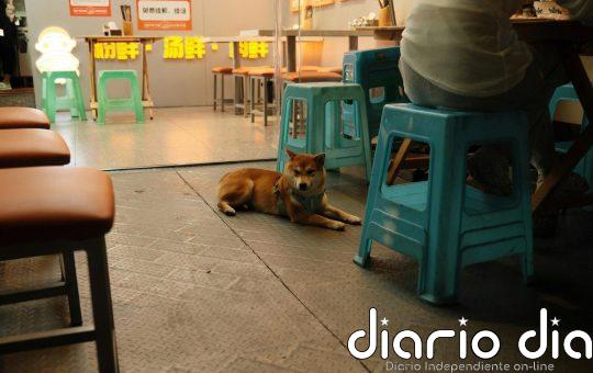 ¿Por qué tienen los banquitos de plástico un agujero en el medio?