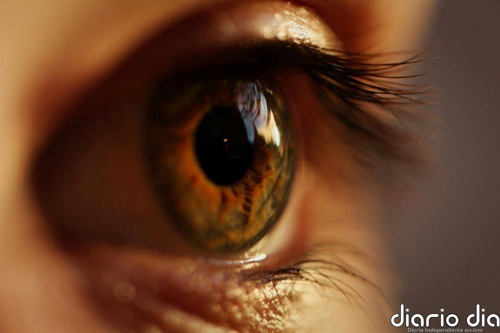 ¿Ves puntos o hilos moviéndose en tu vista No es inusual