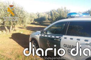 A disposición judicial en Granada un miembro de una banda por delitos de hurto con el método de la siembra