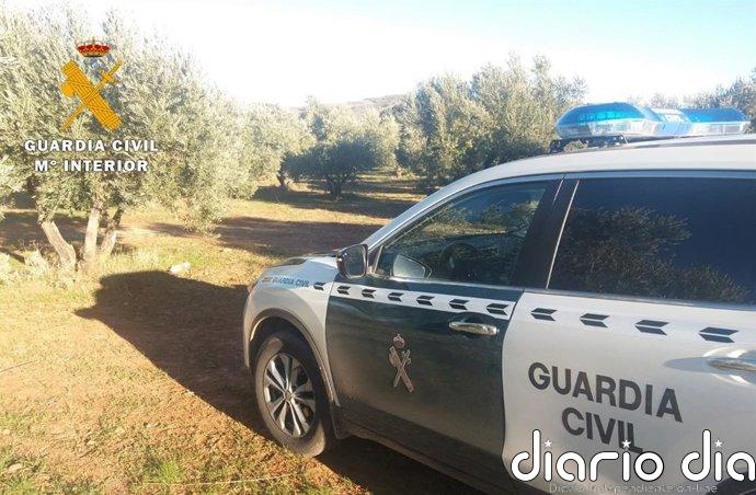 A disposición judicial en Granada un miembro de una banda por delitos de hurto con el método de la siembra