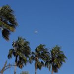 Activada la alerta por fuerte viento la noche del miércoles al jueves en comarcas de Tarragona