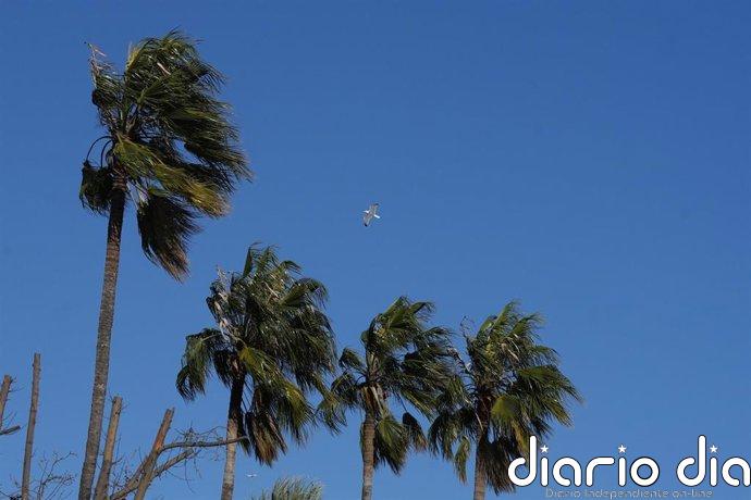 Activada la alerta por fuerte viento la noche del miércoles al jueves en comarcas de Tarragona