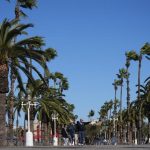 Activada la alerta Ventcat por previsión de fuertes rachas el domingo en el Ripollès (Girona)