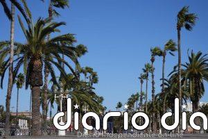 Activada la alerta Ventcat por previsión de fuertes rachas el domingo en el Ripollès (Girona)