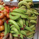 Alertan de la entrada ilegal en Canarias de plátano macho y mangos