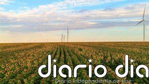 Amazon alcanza 100 proyectos de energía renovable en España tras sumar siete proyectos en 2025