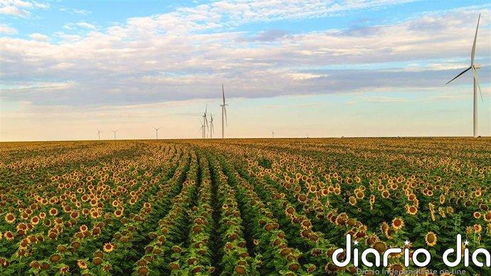 Amazon alcanza 100 proyectos de energía renovable en España tras sumar siete proyectos en 2025