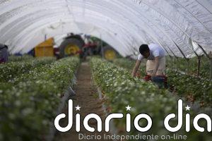 Andalucía flexibiliza las exigencias de la condicionalidad de la PAC, los ecorregímenes y las ayudas agroambientales