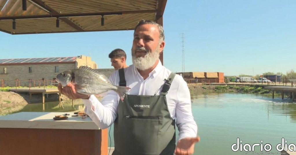 Ángel León recupera una marisma y crea un huerto marino en el Puerto de Santa María