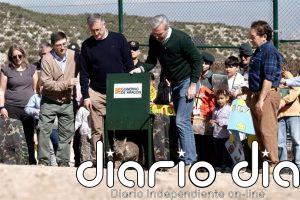 Aragón inicia la reintroducción del lince ibérico con la suelta de dos ejemplares en Torrecilla de Valmadrid