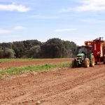 Asaja valora las ayudas del Govern al sector primario por la guerra en Irán pero reclama "simplicidad" y "rapidez"