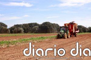 Asaja valora las ayudas del Govern al sector primario por la guerra en Irán pero reclama "simplicidad" y "rapidez"