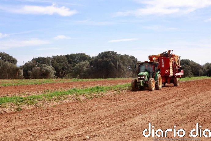 Asaja valora las ayudas del Govern al sector primario por la guerra en Irán pero reclama "simplicidad" y "rapidez"