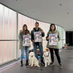 Astillero acoge este sábado el III Concurso Nacional Monográfico de Perro de Agua del Cantábrico